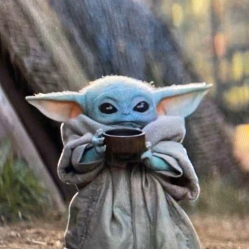 Meet your Posher, Phyllis